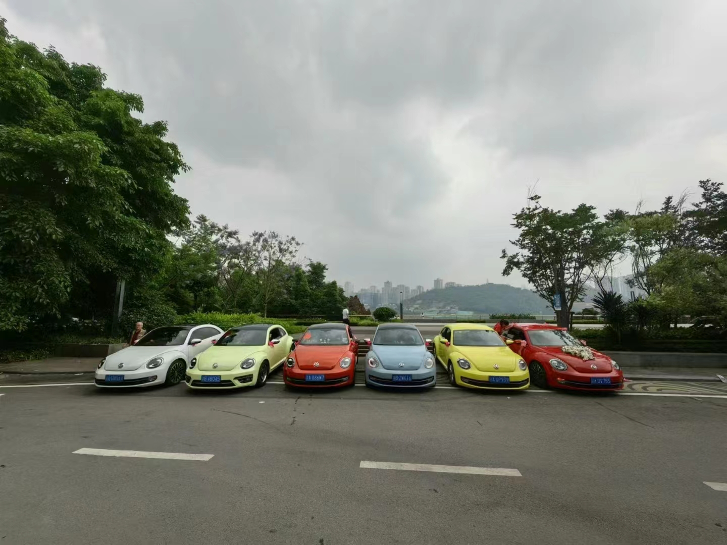 甲壳虫彩虹车队